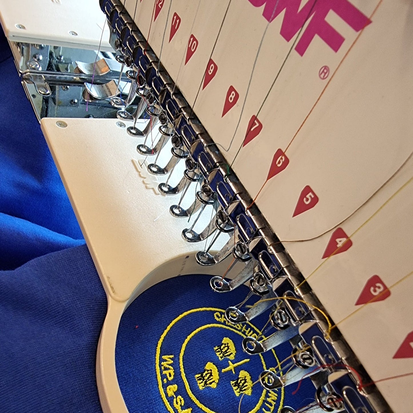 Cheshires Junior UC Hoodie